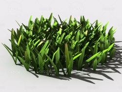草坪草地绿草植物C4D模型 lawn-grass-d2
