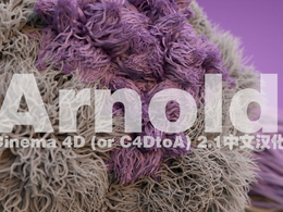 C4D 阿诺德渲染器v1.2插件汉化版 SolidAngle C4DtoA 1.2.0 for Cinema 4d R15-R18