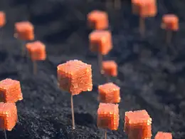 C4D OC次表面散射抽象植物工程文件