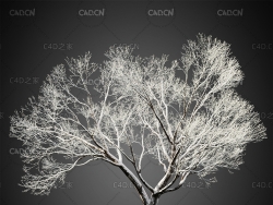 冬天树上的雪雾凇C4D模型HeliosVegetation Vol.4
