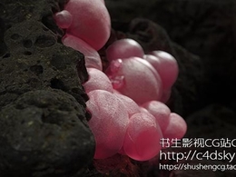 替换和谐版-阿诺德渲染器C4D插件Solid Angle Cinema4D To Arnold 2.1.2