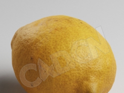 C4D黄柠檬水果模型 Lemon