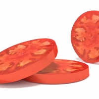 切开的西红杮片C4D模型 tomato slice