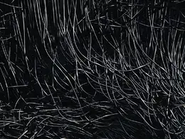 C4D实用工程第149季：黑暗的绳索动画C4D工程文件 c4d project