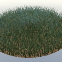 C4D R15的建筑草坪预设