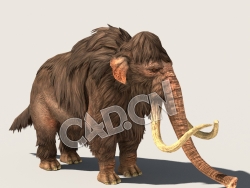 C4D猛犸象模型（包含骨骼绑定动画) Mammoth 3D Model