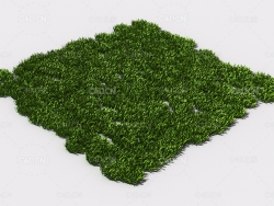 花纹草坪草地绿草植物C4D模型 pattern_lawn-grass-6