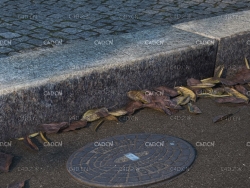 路边的圆形井圈井盖C4D VRAY模型 manhole cover