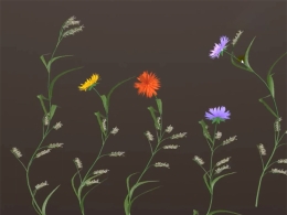 花草绘制风吹动画控制模型Flowers Drawing