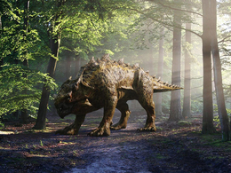 C4D阿诺德Arnold渲染器 SolidAngle C4DtoA 2.2.2 R17/R18/R19 Win/Mac AMPED和谐版