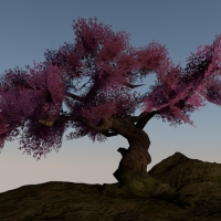 桃树C4D模型 Peach