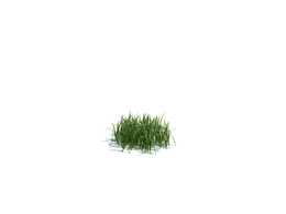 草地小草植物杂草模型下载simple grass small v1