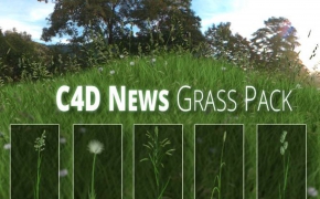 C4D草地模型 C4D News Grass Pack