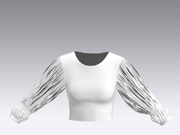c4d模型女性衣服上衣Sleeves-53