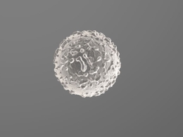 c4d 白细胞模型