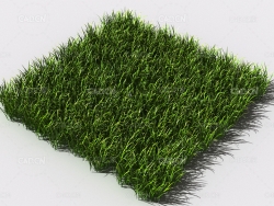 野草植物C4D模型 pattern_wild-grass-5
