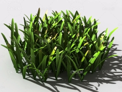 草坪草地绿草植物C4D模型 lawn-grass-b1