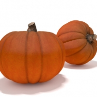 南瓜C4D模型 pumpkin