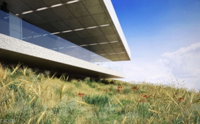 草和小植物3D模型 EVERMOTI0N: Archmodels vol.124