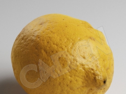 C4D黄色柠檬模型 Lemon