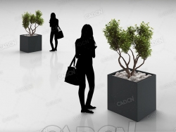 盆栽景观树C4D模型