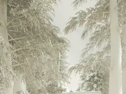山间小路