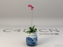 蝴蝶兰3D模型 兰花3D模型 Phalaenopsis