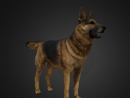 德国牧羊犬german-shepherd-rig