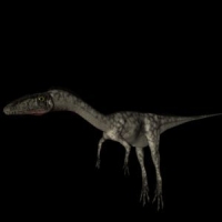 恐龙3D模型：腔骨龙（Coelophysis）