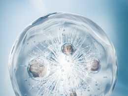 C4D OC二裂酵母细胞渲染工程