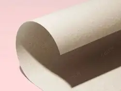 1个高精度牛卡纸牛皮纸贴图纹理Texture Supply Paper 001_206x206mm_2K (OLD)