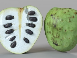 切开的一半南美洲番荔枝C4D模型 Custard Apple 3d model