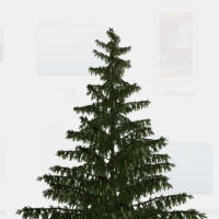 松树模型 Pine