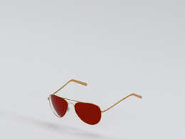 服饰模型：太阳镜