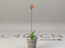 盆景花卉3D模型