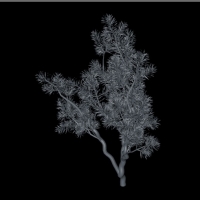 3个树枝C4D模型（无贴图）Bobs Brsitlecone Twigs