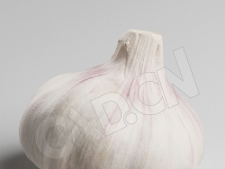 C4D白皮大蒜一头蒜模型 Garlic