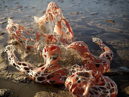 C4D多边形曲面细分插件 Trypogen 1.5 For Cinema 4D R16/R17/R18/R19 Win/Mac