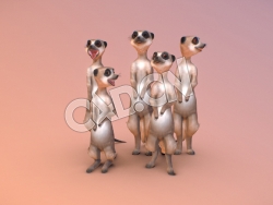 C4D猫鼬模型 Meerkat
