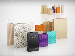 购物纸袋手提袋 Paper shopping bags