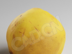 C4D成熟的榅桲水果模型 Quince
