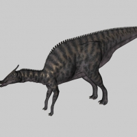 恐龙C4D模型：栉龙 Saurolophus