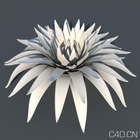 C4D花朵模型：Basic Objects for c4d (r13) 021