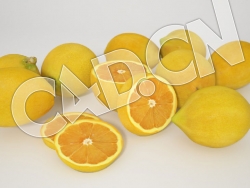C4D柠檬水果模型 Lemons 3d Model