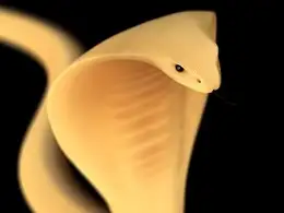 C4D眼镜蛇建模视频教程 Cinema 4d Snake