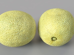 香瓜 甜瓜C4D模型 Melon 3d model