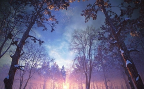 冬天雪景3D模型：大雪覆盖的树林C4D模型