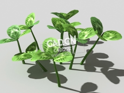 三叶草植物C4D模型 clover-d3 3d model