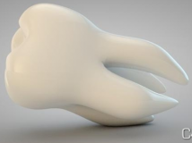 c4d牙齿模型 Tooth