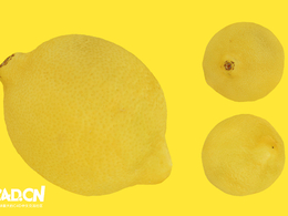 柠檬C4D模型 Lemon 3d model